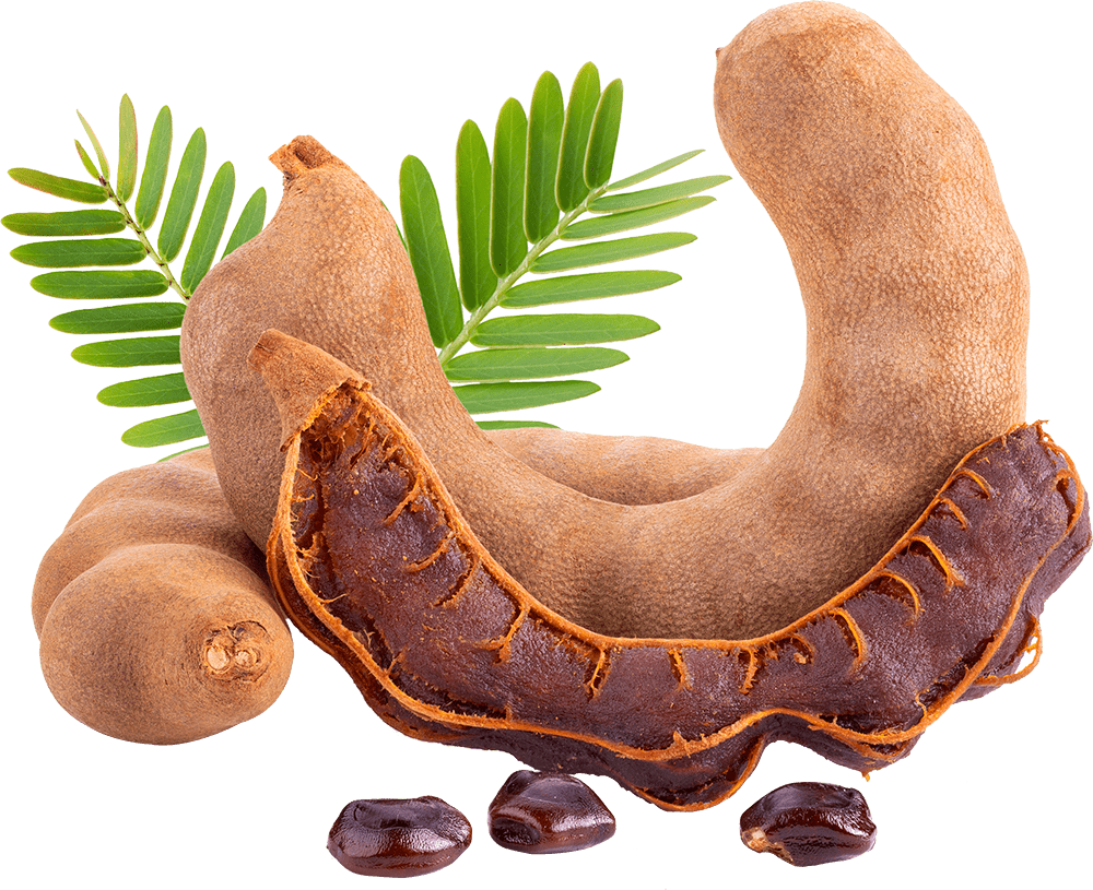 Can Dogs Eat Tamarind? Friendly Guide for Pet Owners